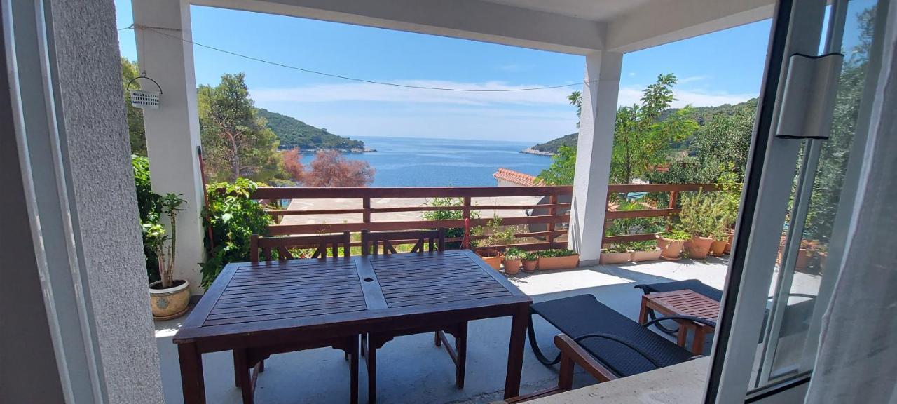 Apartment Kristic - Saplunara, Mljet Babino Polje Esterno foto