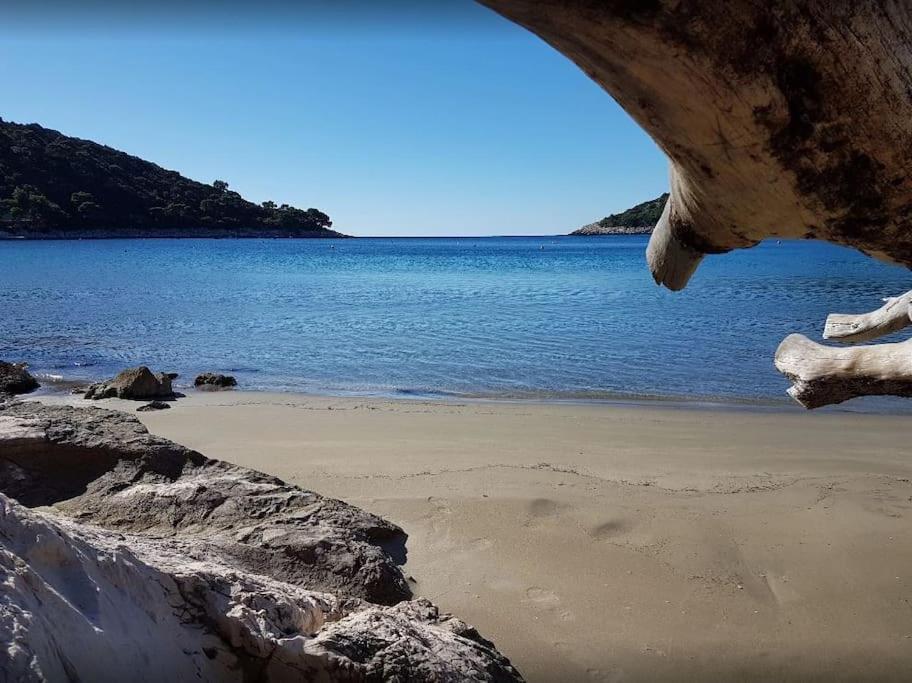 Apartment Kristic - Saplunara, Mljet Babino Polje Esterno foto