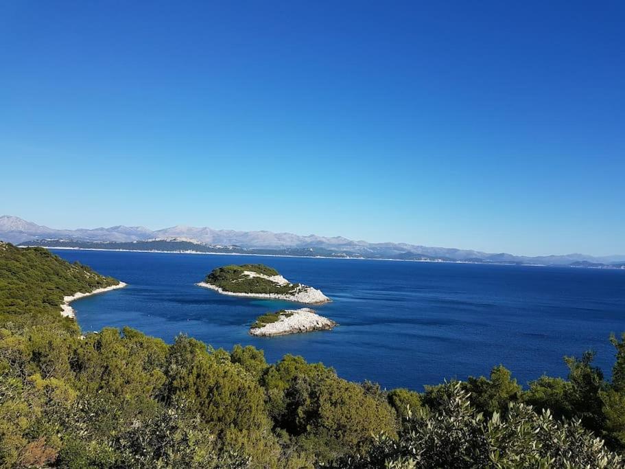 Apartment Kristic - Saplunara, Mljet Babino Polje Esterno foto