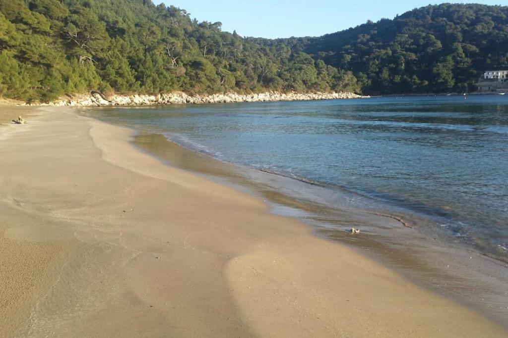 Apartment Kristic - Saplunara, Mljet Babino Polje Esterno foto