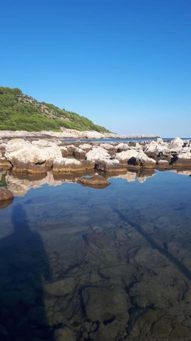 Apartment Kristic - Saplunara, Mljet Babino Polje Esterno foto